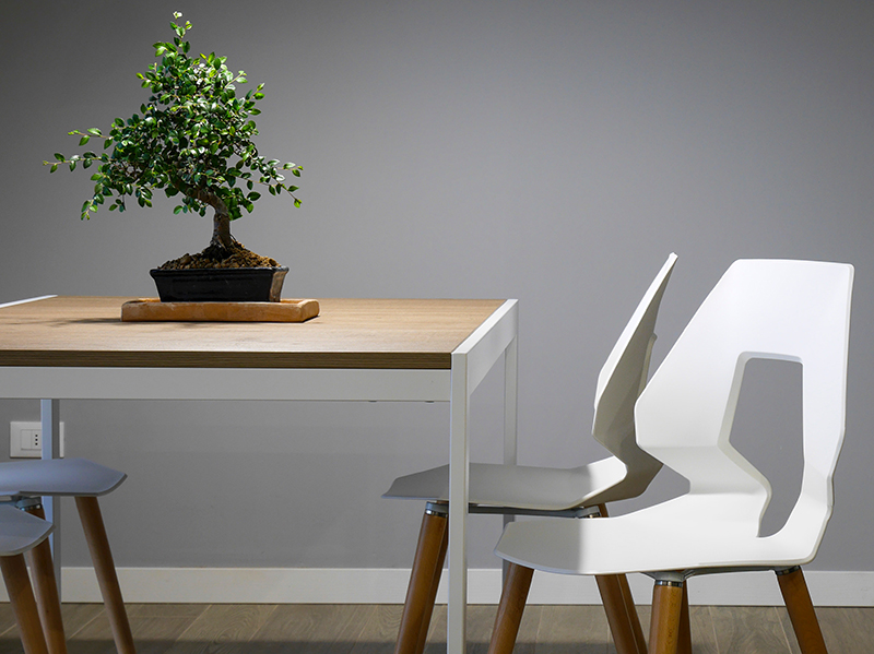 Bianchi Sandro - Traslochi Vicenza - Modifiche Mobili